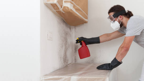 Professional Mold Inspection And Testing technician working in Partlow, VA