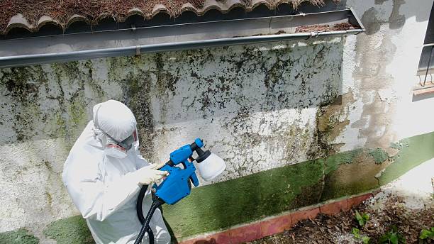 Top rated local Mold Inspection And Testing specialists in Partlow, VA